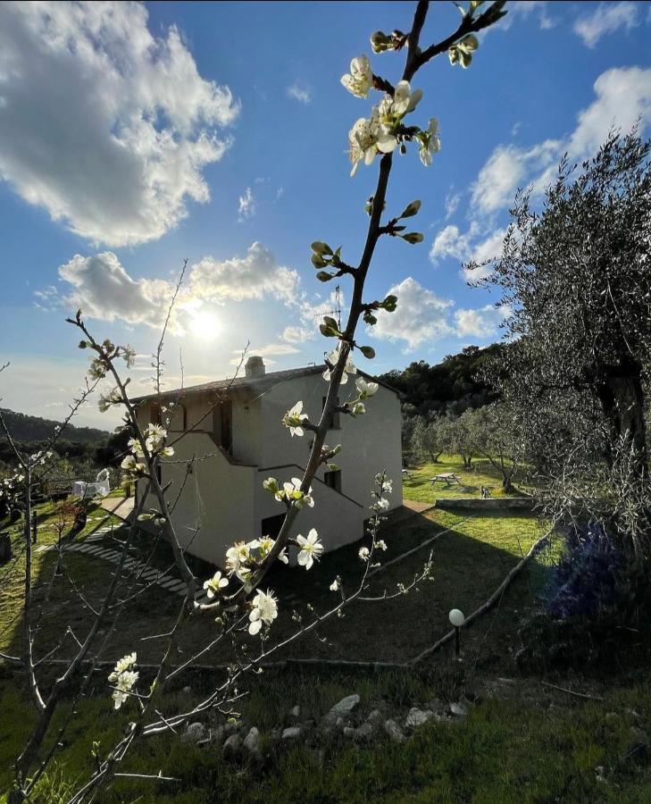 Agriturismo Il Sorbo Appartamento Menta Sticciano Ngoại thất bức ảnh