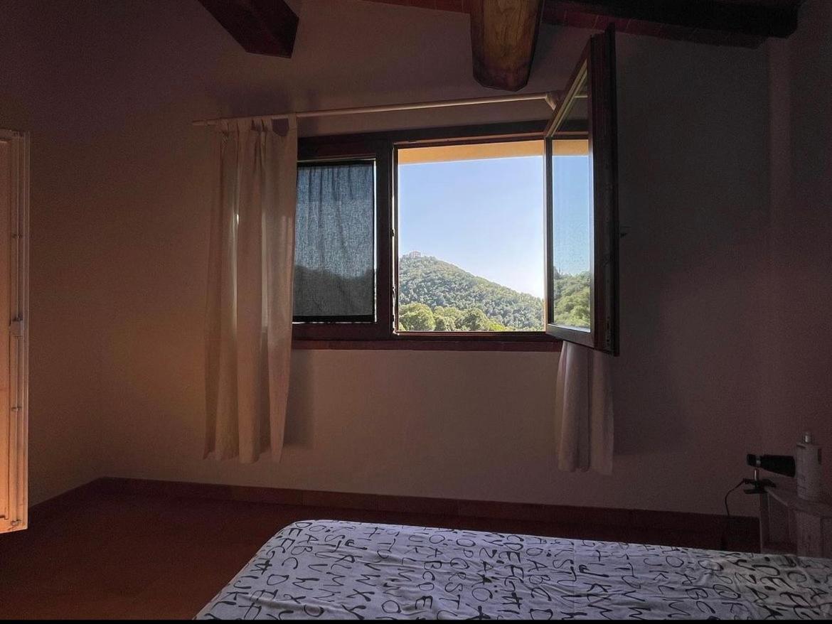 Agriturismo Il Sorbo Appartamento Menta Sticciano Ngoại thất bức ảnh
